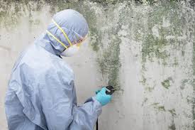 Best Environmental Consulting for Mold Prevention  in Ocean Grove, NJ